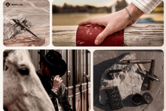 Full Service Management of Risivi&Co.